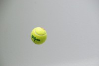 縮－テニスボール.jpg